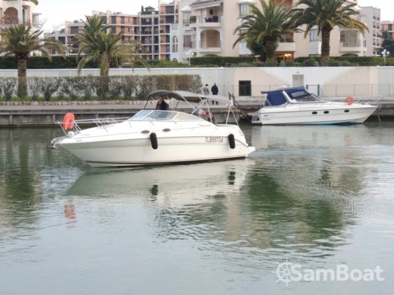 Noleggio Barca a motore con o senza skipper Sea Ray a Mandelieu-la-Napoule