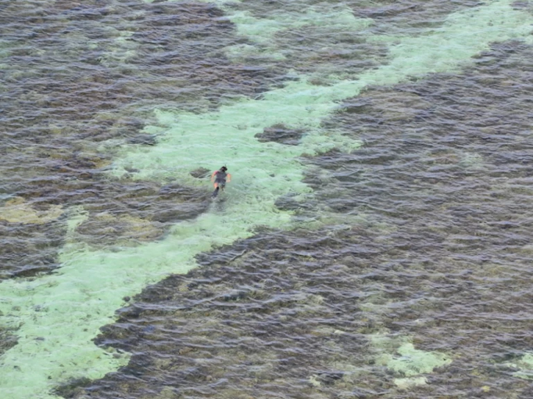 Fountaine Pajot Bahia 46 da affittare a  Nouméa