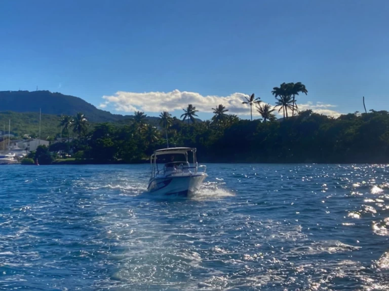 Noleggio a Les Trois-Îlets – Lobster marion 7,3 su SamBoat