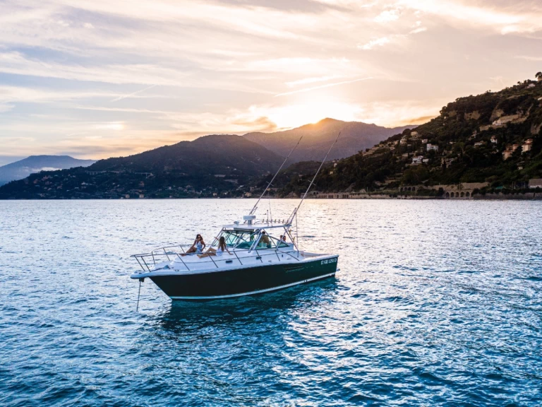 Noleggio Barca a motore PURSUIT  con patente nautica