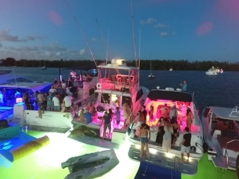 Noleggio barche Miami economico Sea Ray 410 Express Cruiser