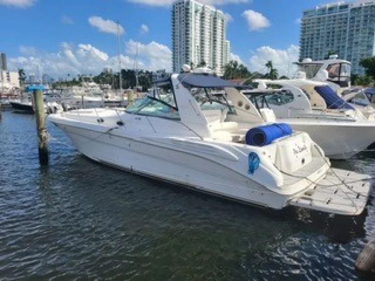 Noleggio a Miami – Sea Ray Sea Ray 410 Express Cruiser su SamBoat