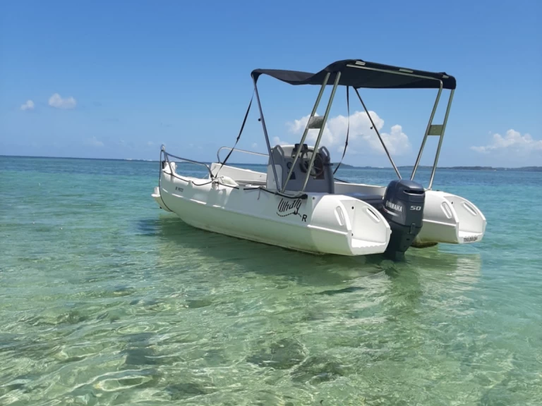 Noleggio Barca a motore Whaly con patente nautica