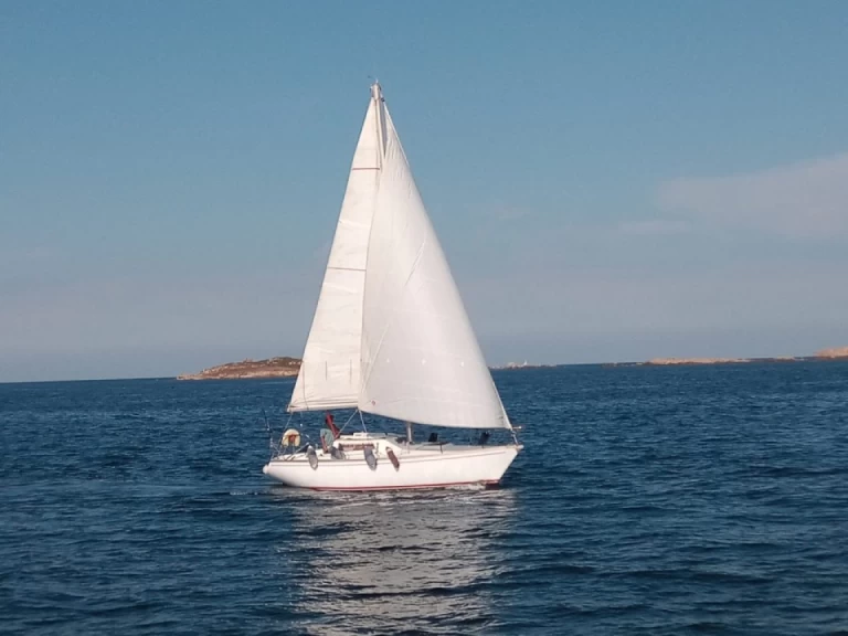 Barberis Sciacchetra da affittare a  Santa Teresa Gallura