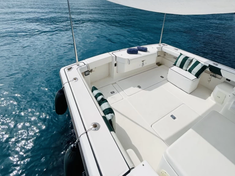 Noleggio Barca a motore PURSUIT  con patente nautica