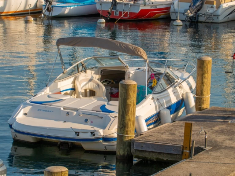 Noleggio Barca a motore con o senza skipper Stingray a Ginevra (District)