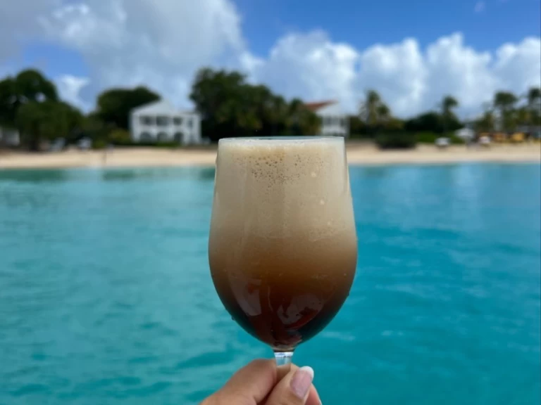 Noleggio barche Marigot economico Lavezzi 40 Maestro