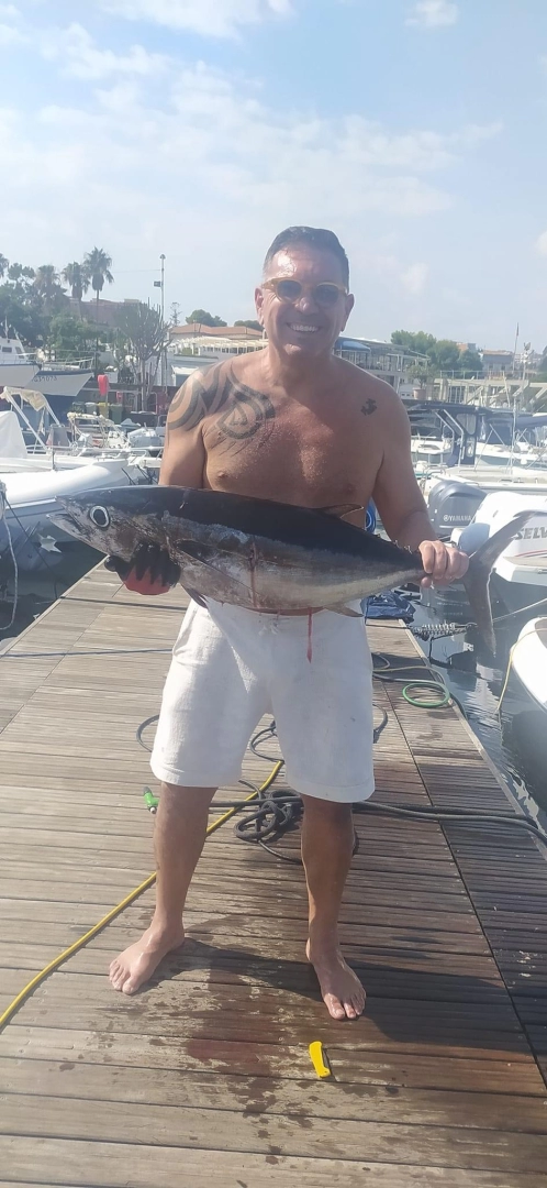 Noleggio barche Sealine Ambassador 360 a Seconda Circoscrizione su Samboat