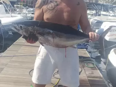 Noleggio barche Sealine Ambassador 360 a Seconda Circoscrizione su Samboat