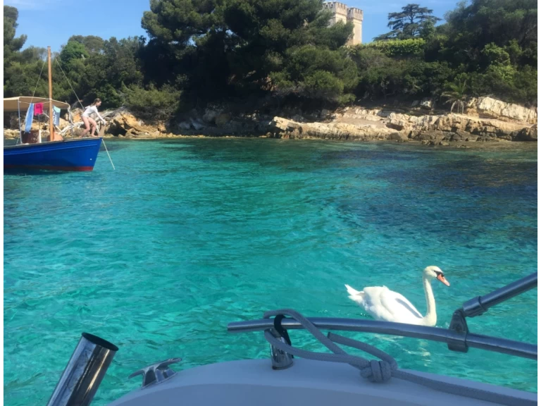 Chris Craft Sea Hawk 213 da affittare a  Cannes