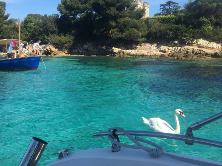 Ranieri Shadow 22 S da affittare a  Cannes