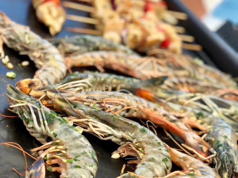 Noleggio Catamarano Plan-Caroff con patente nautica