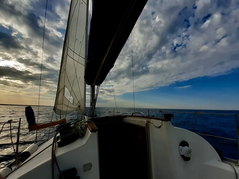 Noleggio barche Jeanneau Sun 2500 a Bisceglie su Samboat