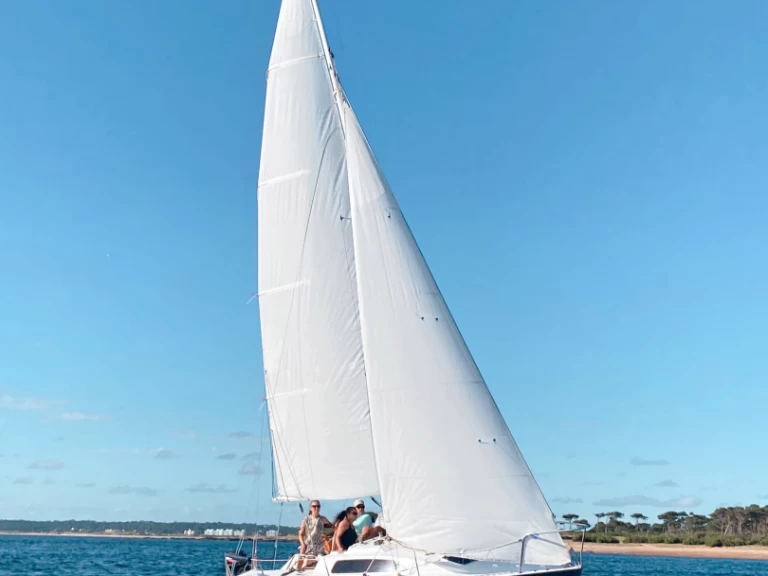 Noleggio Barca a vela con o senza skipper Ezcurra a Punta del Este