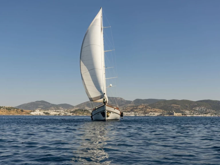 Noleggio Barca a vela Custom Made con patente nautica