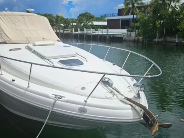 Noleggio Barca a motore Sea Ray con patente nautica