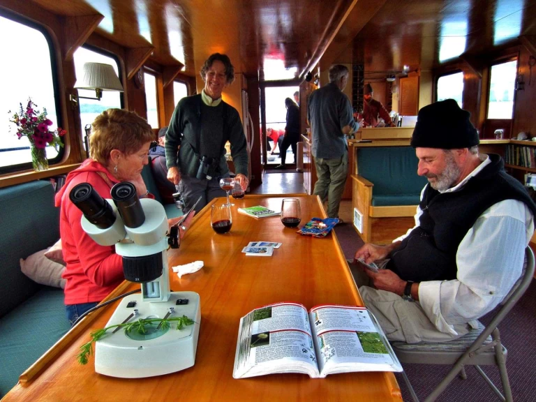 Yacht di lusso a noleggio a San Juan Islands al miglior prezzo