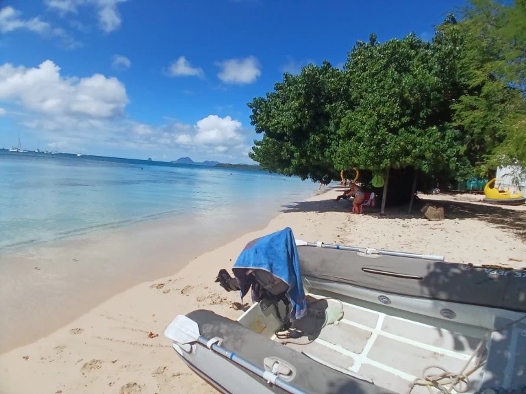 Noleggio barche Bavaria Bavaria 46 Cruiser a Le Marin su Samboat