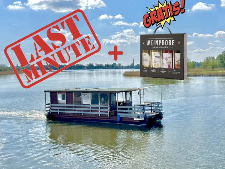 Noleggio Houseboat TS1000 con patente nautica