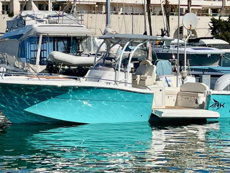 Noleggio Barca a motore White Shark con patente nautica