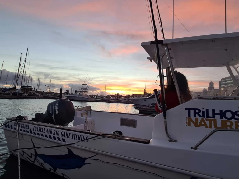 Noleggio a Ponta Delgada (São Pedro) –  Tecninautica Marlin 22 su SamBoat