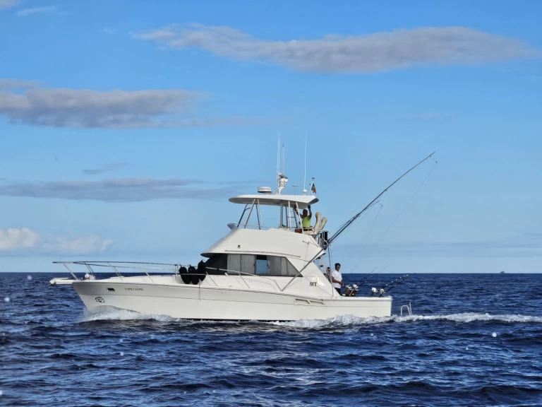 Noleggio Barca a motore a Ponta Delgada (São Pedro) – Riviera Riviera 39 Open Flybridge
