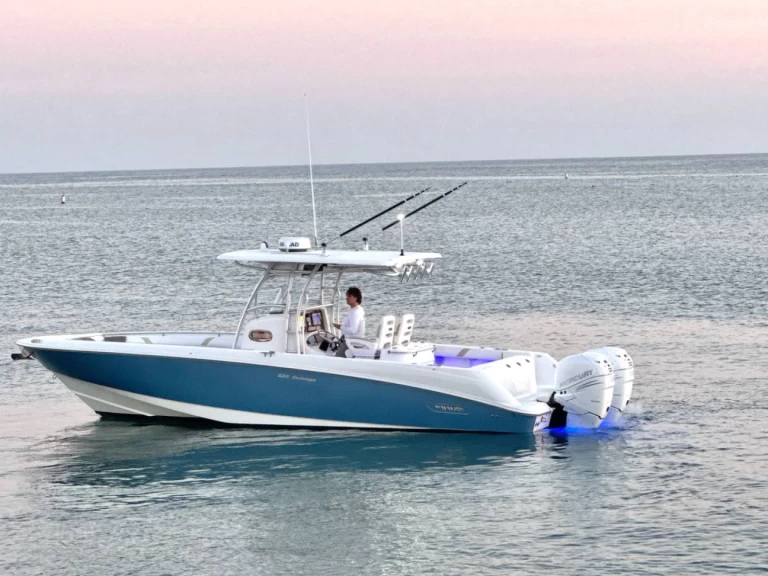 Noleggio a Ýdra – Boston Whaler Boston Whaler 320 Outrage su SamBoat