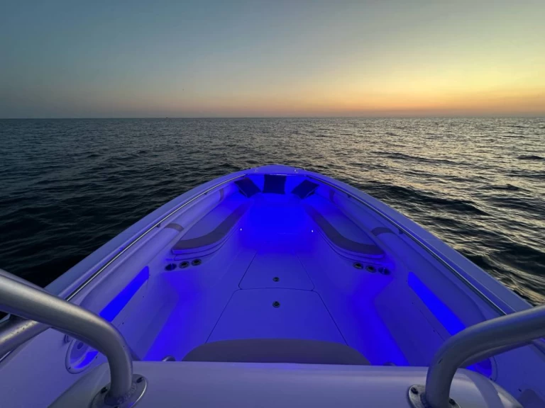 Noleggio barche Ýdra economico Boston Whaler 320 Outrage