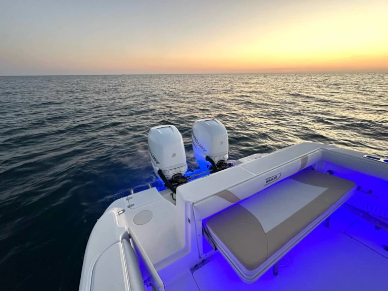 Noleggio Barca a motore a Ýdra – Boston Whaler Boston Whaler 320 Outrage