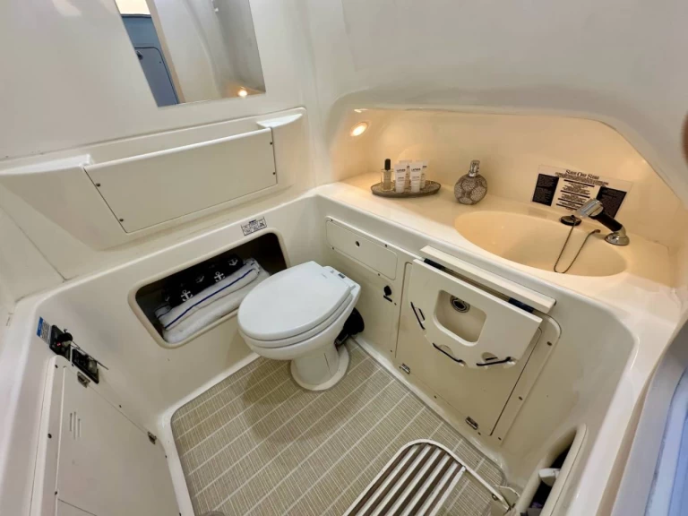 Noleggio barche Boston Whaler Boston Whaler 320 Outrage a Ýdra su Samboat