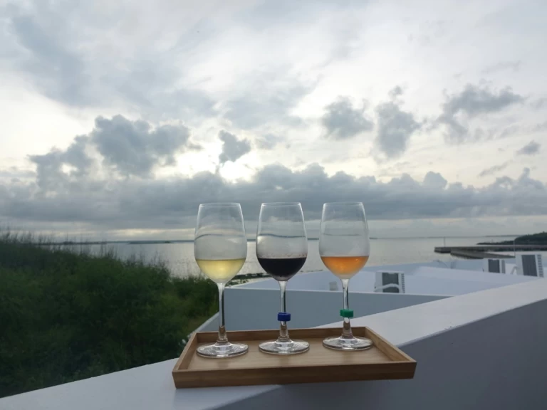 Noleggio Gommone a Oía – Marco 26