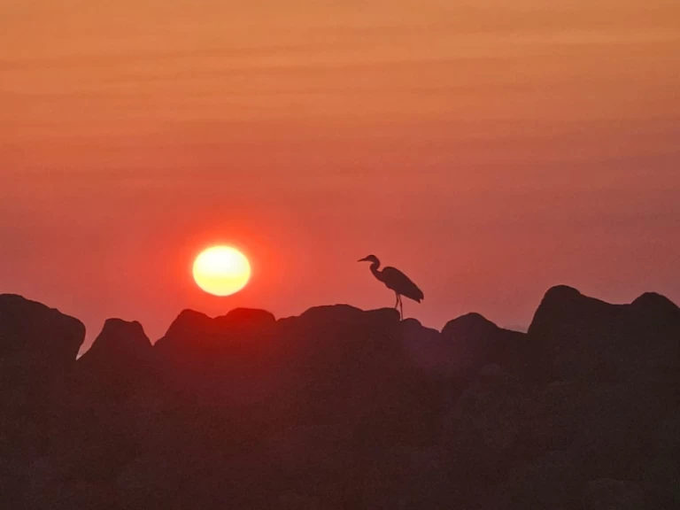 Noleggio barche Marco 26 a Oía su Samboat