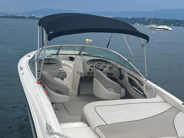 Noleggio a Ginevra (City) – Sea Ray 202 su SamBoat