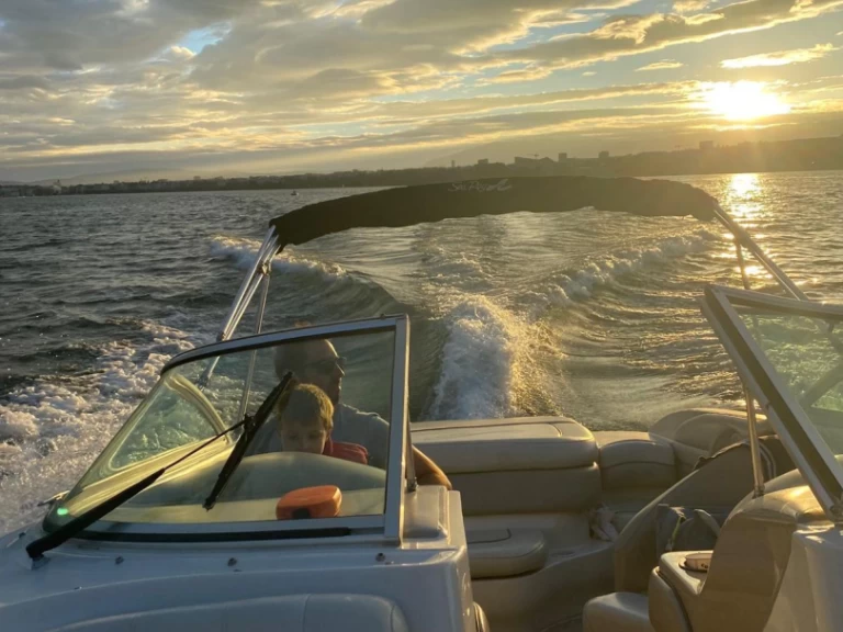 Noleggio barche Ginevra (City) economico 202