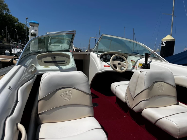 Noleggio Barca a motore a Évian-les-Bains – Sea Ray Sea Ray 175 Bow Rider