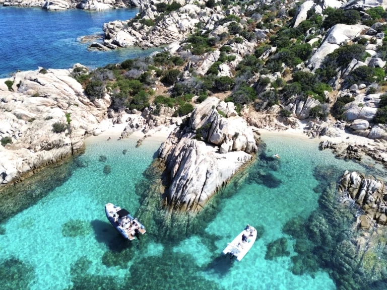 Nuova Jolly prince 24 exclusive da affittare a  Palau