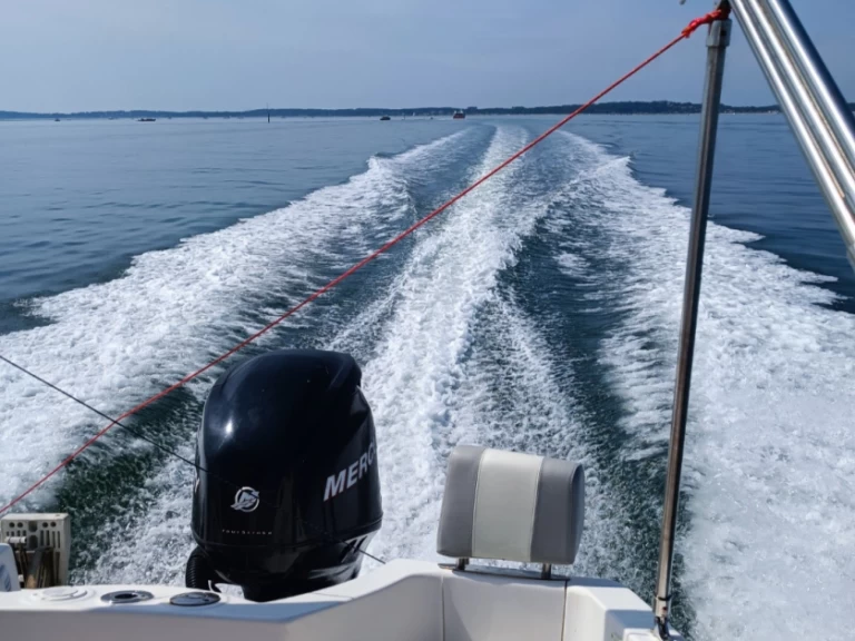 Quicksilver Quicksilver 555 WA Commander da affittare a  Trébeurden