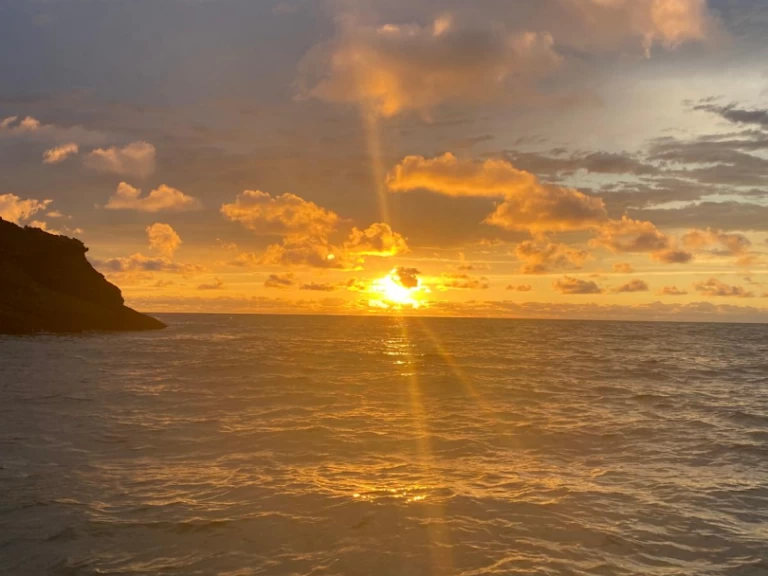 Pita Yacht Catamaran One Off da affittare a  Hendaye