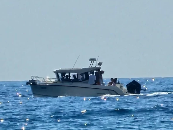 Noleggiare una Quicksilver Pilithouse 805 cabine a Budva