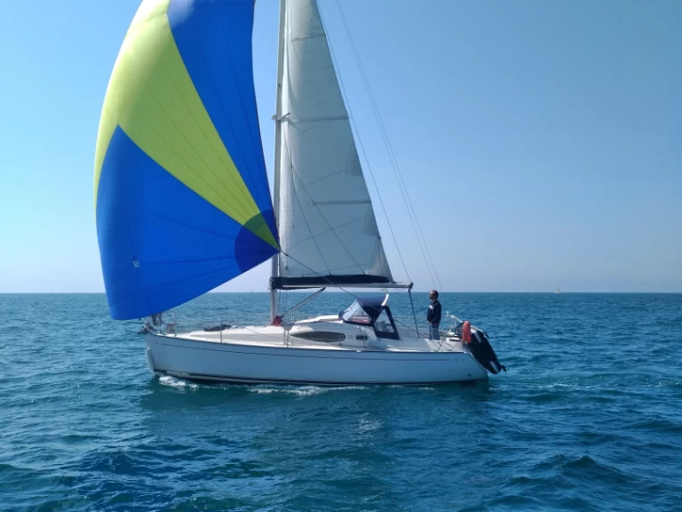 Alliaura-Marine FEELING 32 da affittare a  Auray