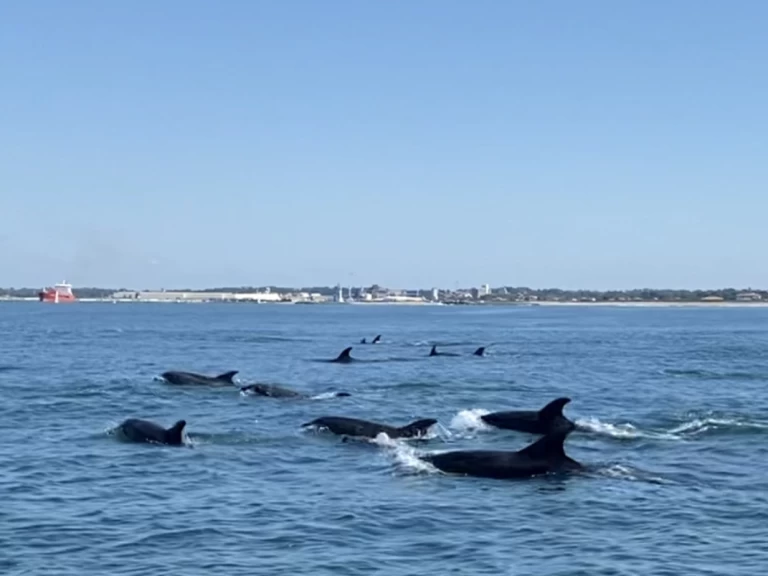 Noleggio barche Bayonne economico Ultra 515 Open