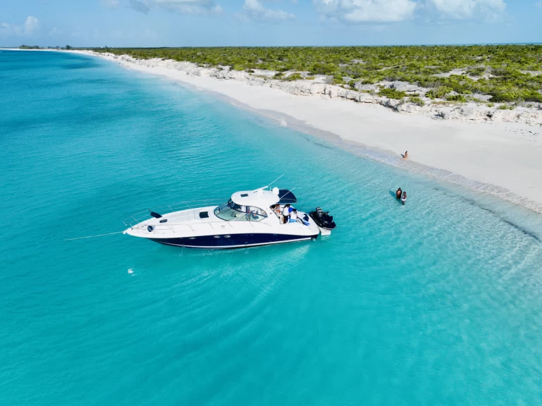 Noleggiare una Sea Ray SUNDANCER 420 a Turks Islands