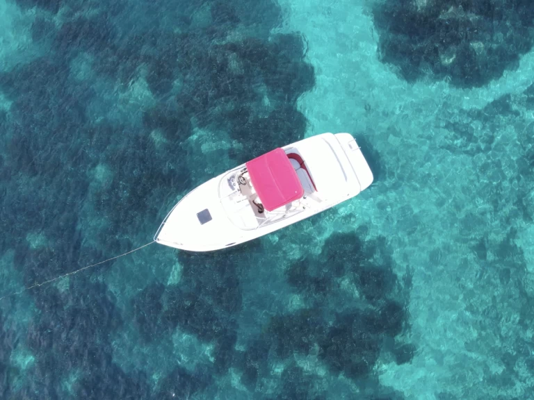 Noleggio a Vieux Port de Cannes – Rinker Captiva 232 Cudy su SamBoat