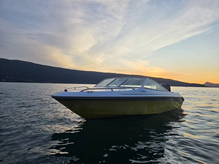 Noleggio barche Annecy economico Sea Ray 160 CB