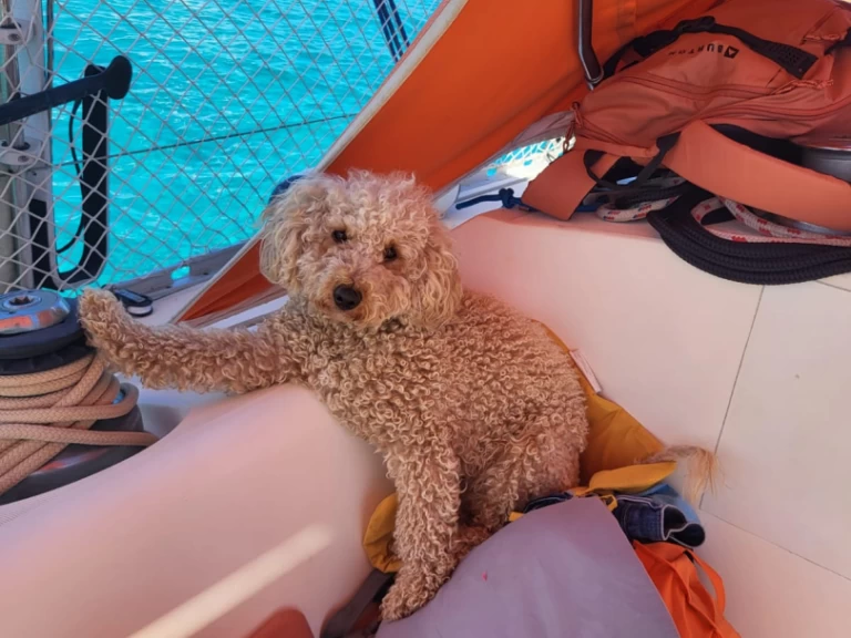 Noleggio barche San Fiorenzo economico Sun Fizz