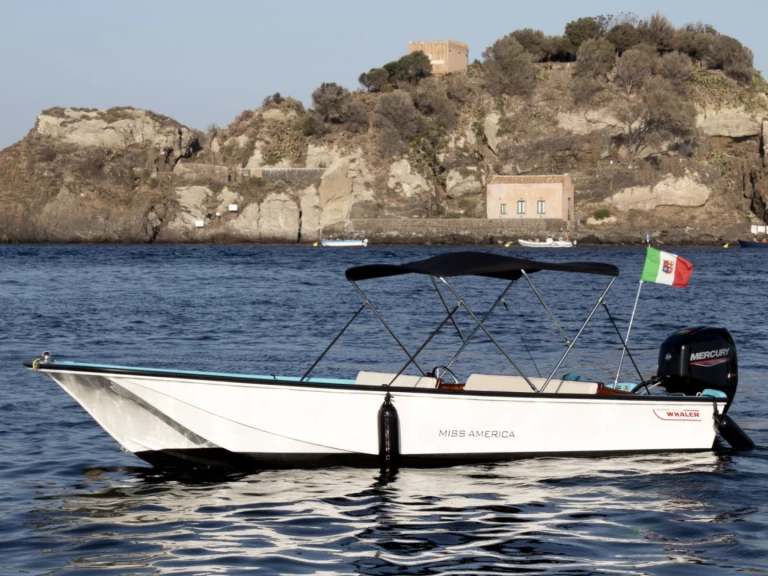 Noleggio a Aci Trezza – Boston Whaler Boston Whaler 17 su SamBoat