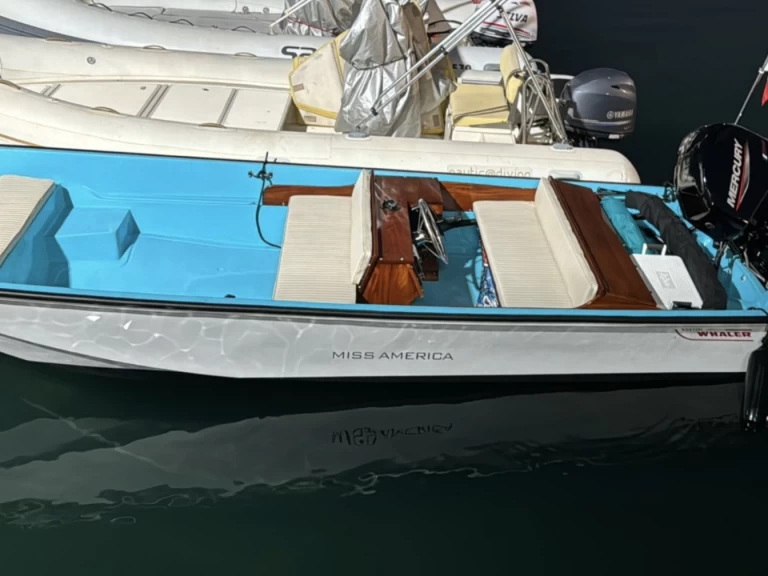 Noleggiare una Boston Whaler Boston Whaler 17 a Aci Trezza
