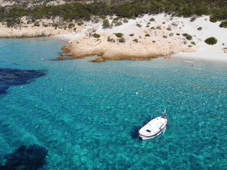 Noleggio Barca a motore Salpa con patente nautica