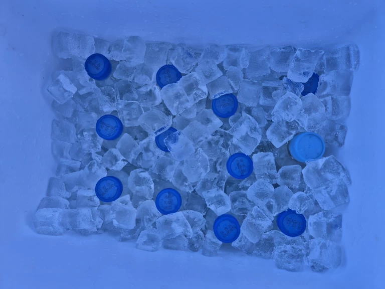 Noleggio a Macarsca – Cap755cc Cap755cc su SamBoat