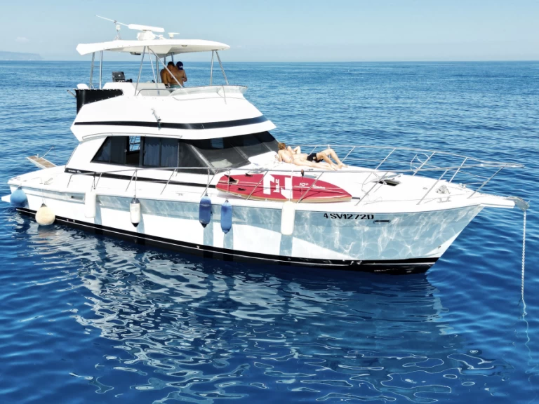 Riviera 43 open flybridge  da affittare a  Alassio
